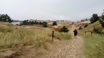 Slowinski park narodowy - duny na baltskem pobrezi (1).jpg