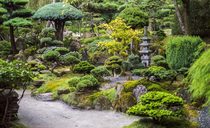japonska-zahrada.jpeg
